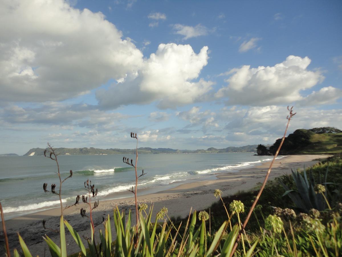 Ocean View B&B Whitianga Esterno foto