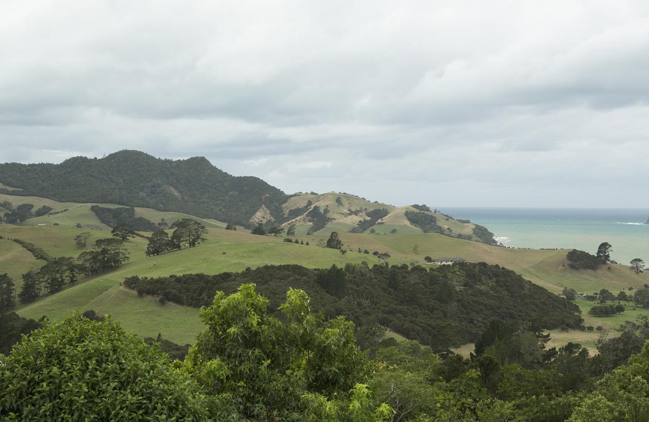 Ocean View B&B Whitianga Esterno foto